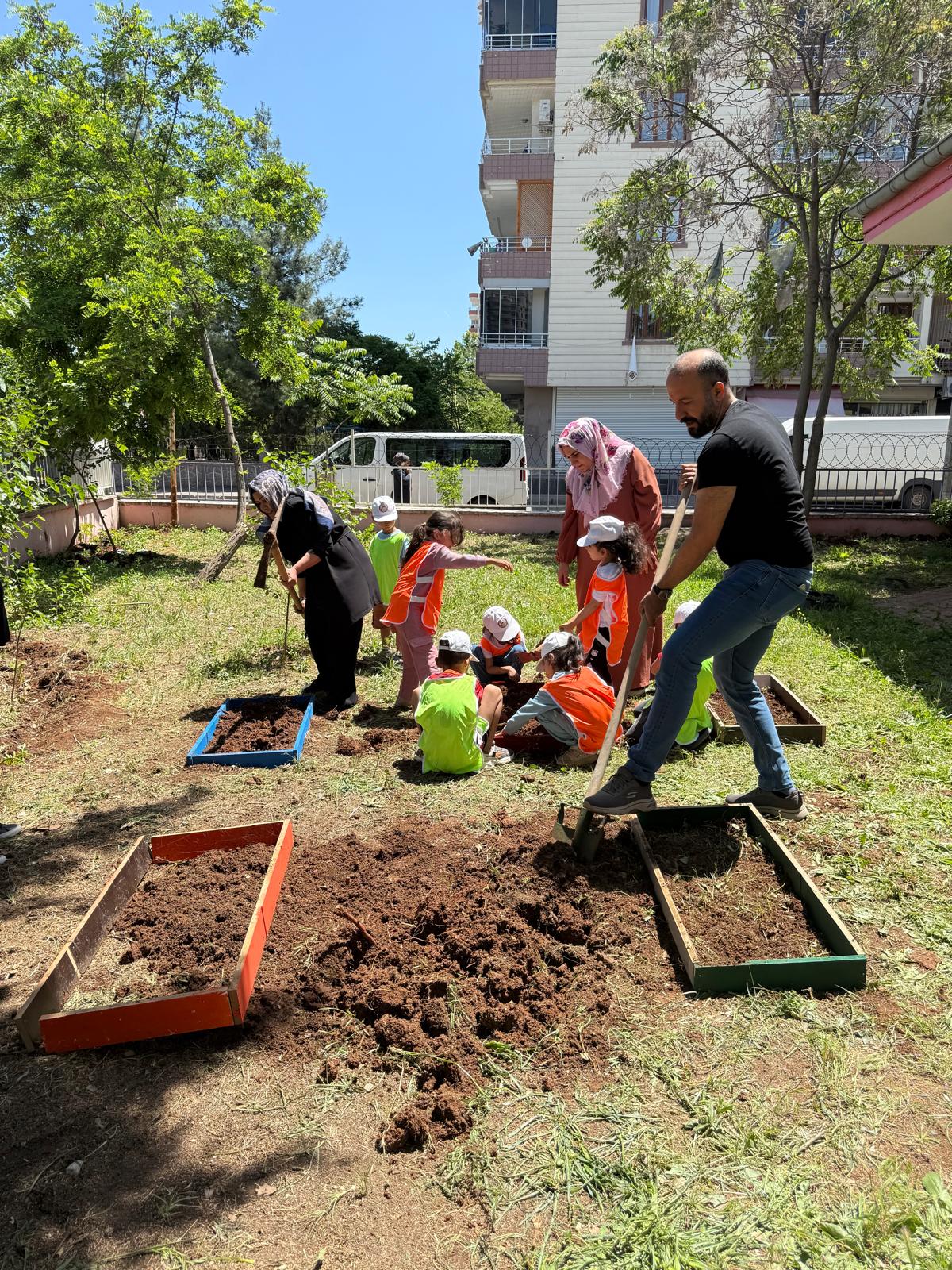 Proje
